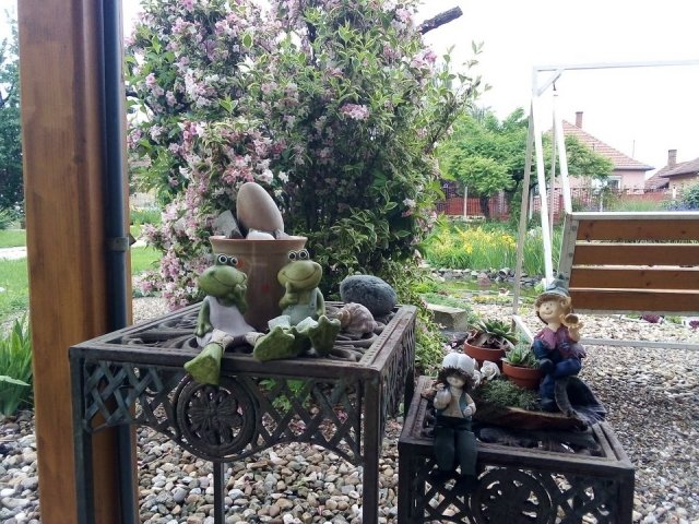 Molnár Anna kertje 03